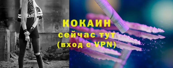PSILOCYBIN Дмитриев