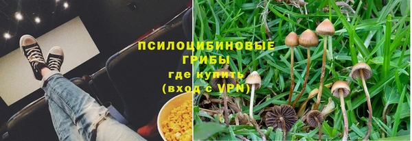 кокс Дмитров