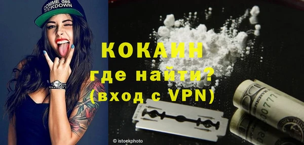 PSILOCYBIN Дмитриев