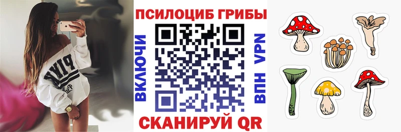 Псилоцибиновые грибы Psilocybine cubensis Мыски